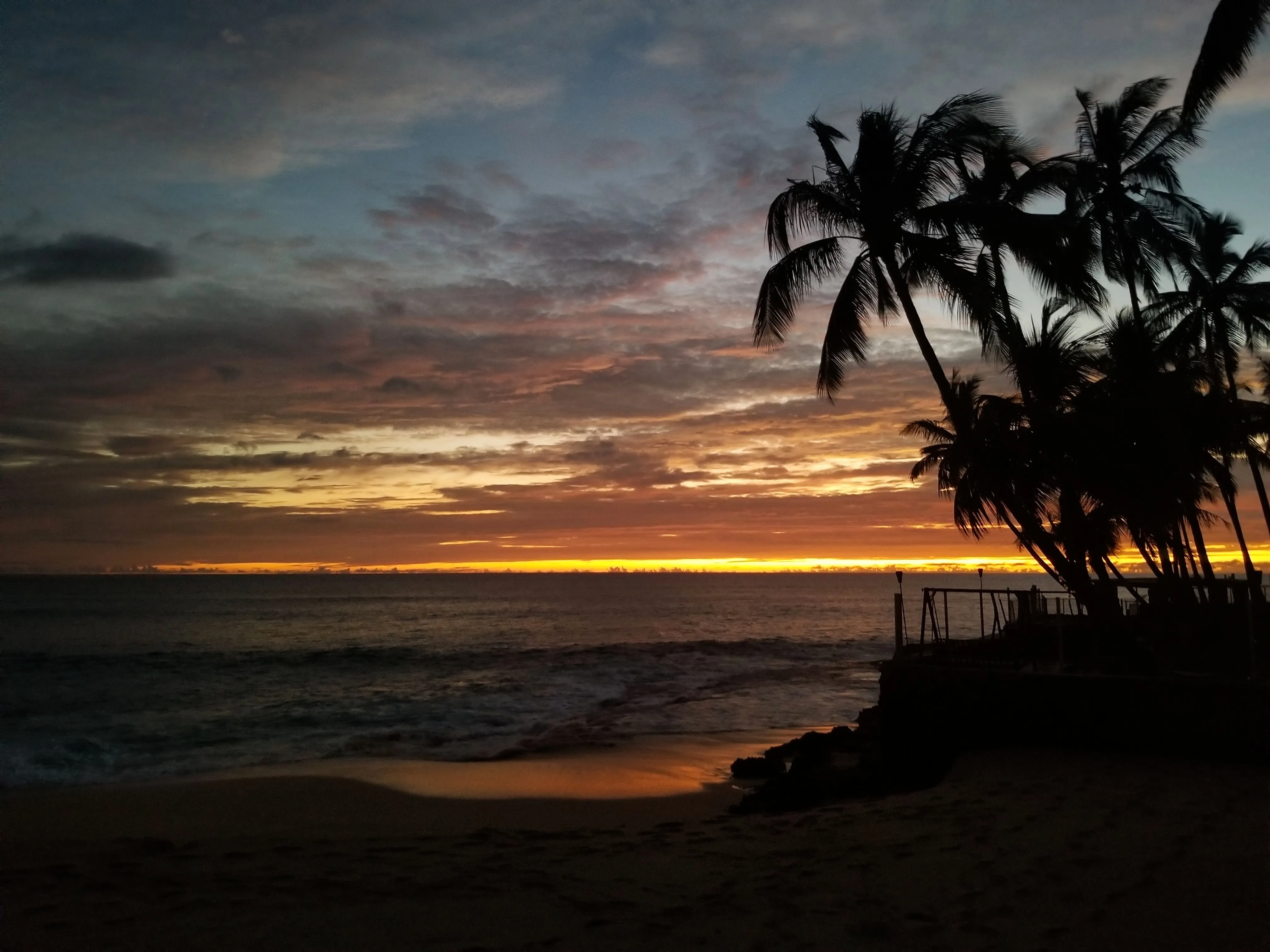Sunset over the ocean with silhouetted palm trees and orange clouds in Mākaha, Oahu, Hawaii.
