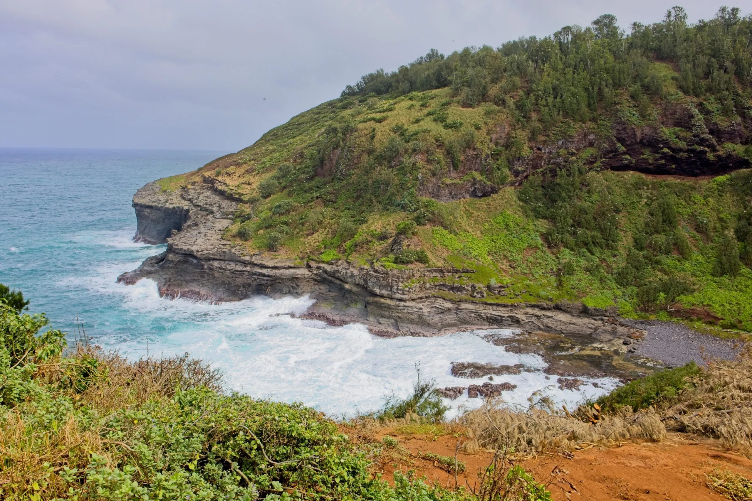 Green coastal cliffs dropping to turquoise water at Kīlauea Point on Kauai, Hawaii.