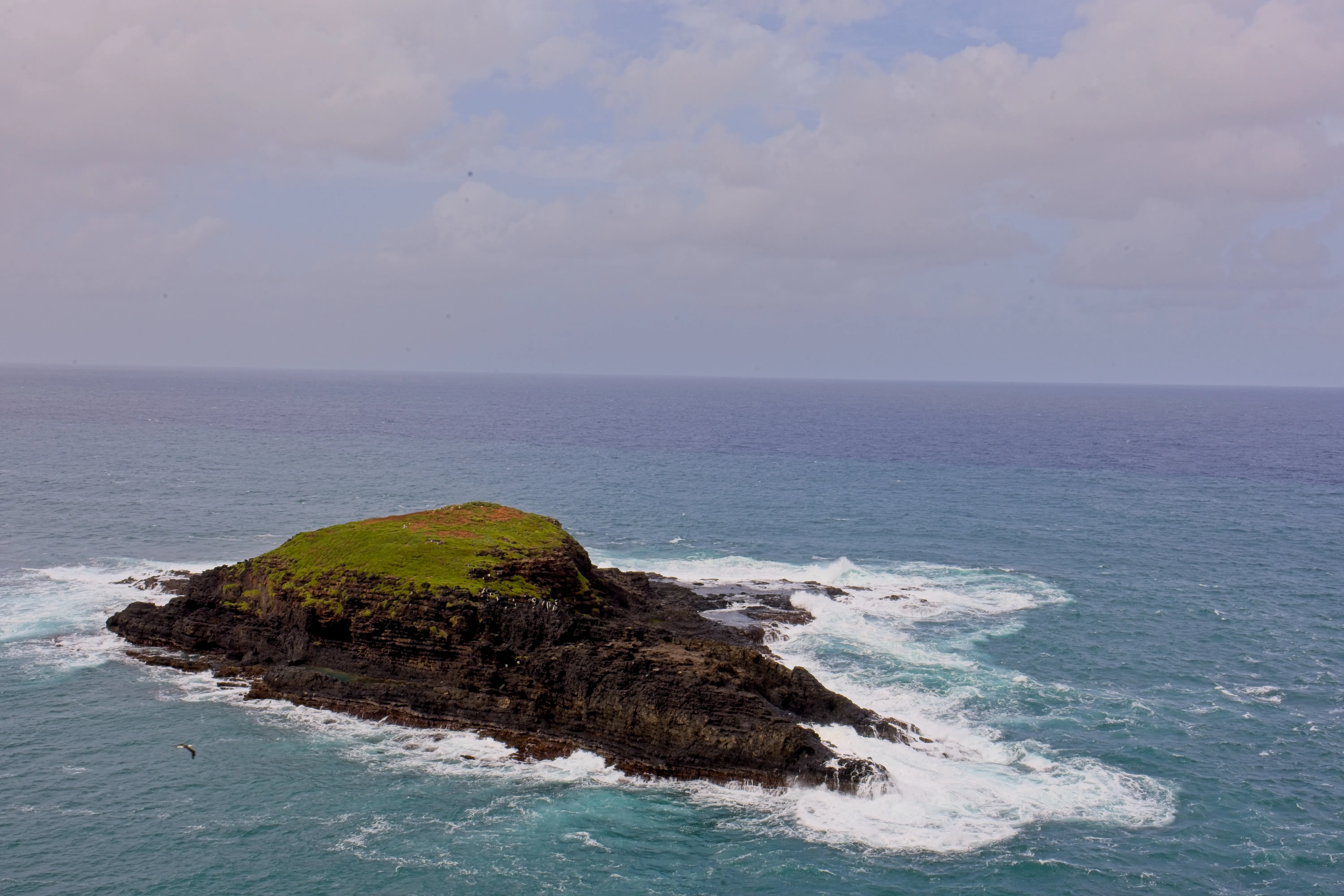 Mokuʻaeʻae Island offshore from Kīlauea Point with waves breaking on rocky shore, Kauai.