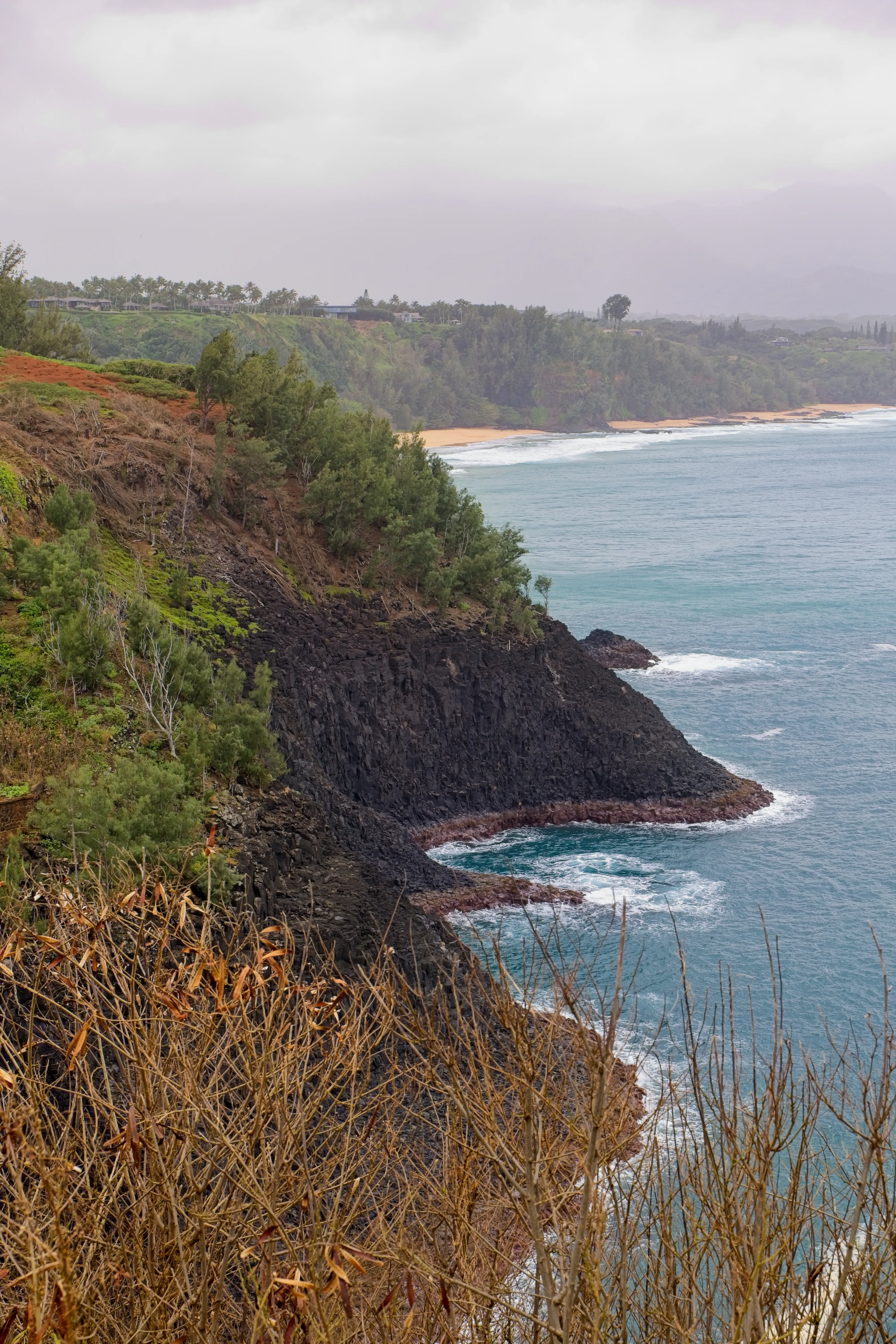 Dark volcanic cliffs and crashing surf along the Kīlauea Point coastline, Kauai.