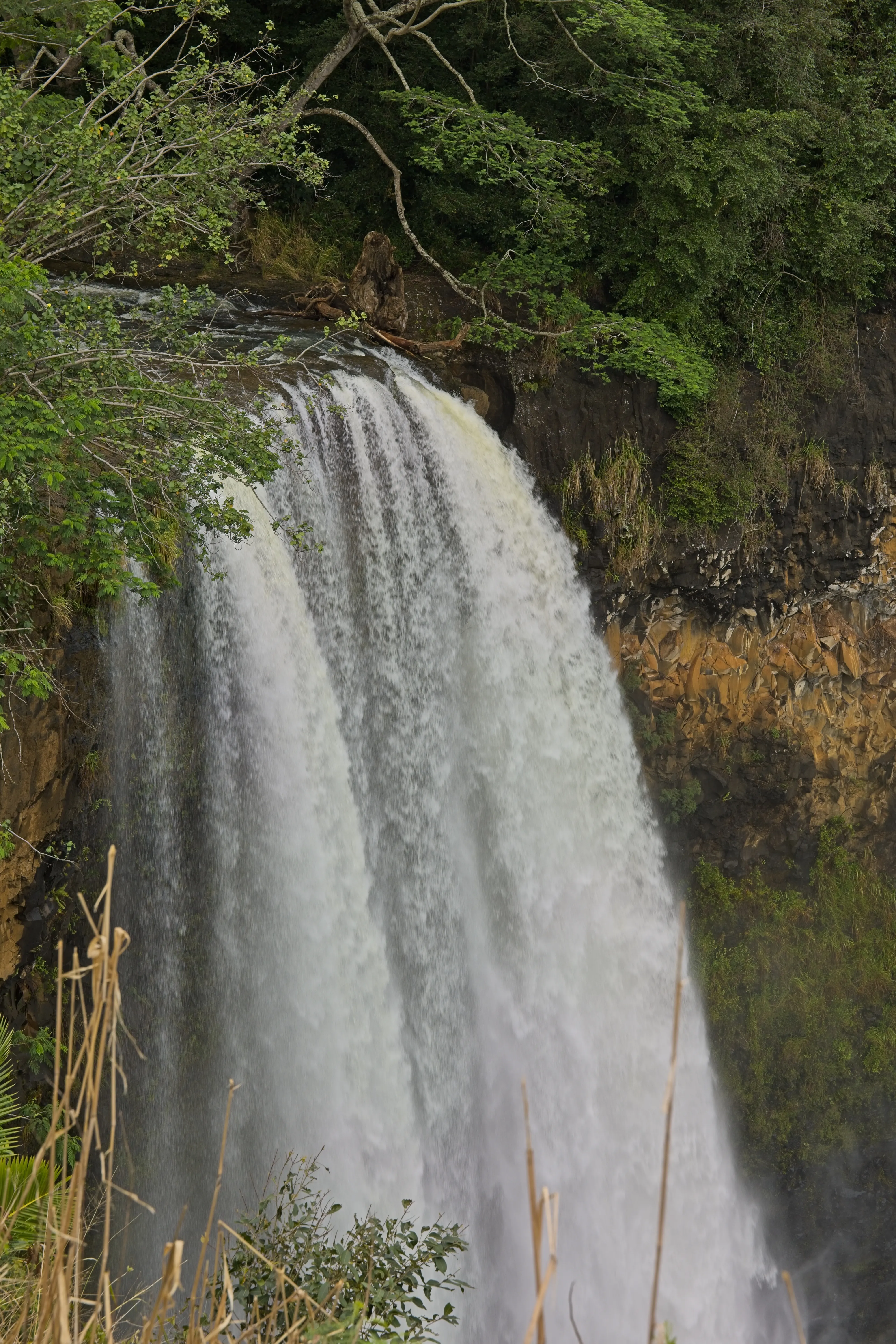 Close view of Wailua Falls cascading over a cliff into a lush valley, Kauai.