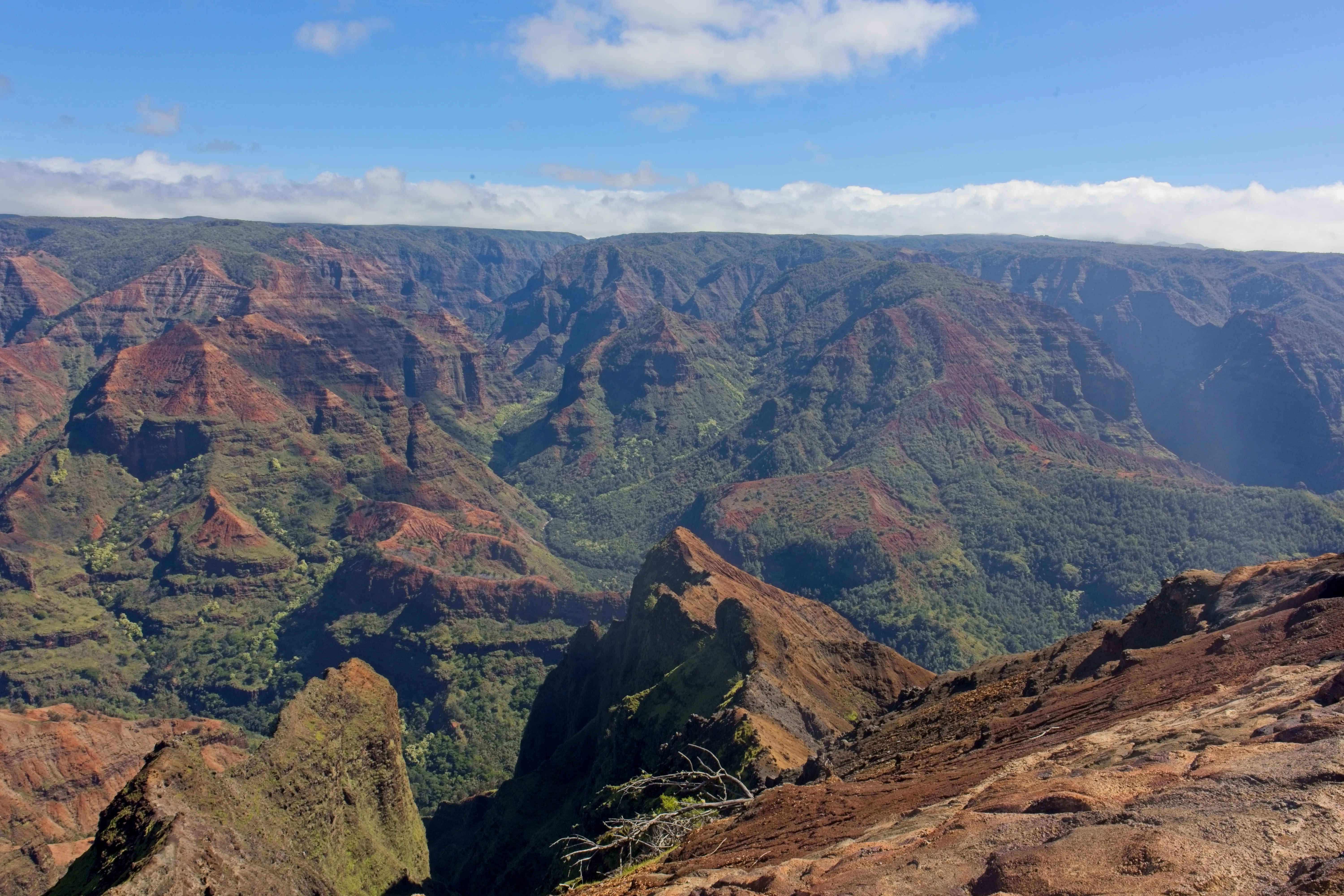 Jagged red canyon ridges stretching to the horizon at Waimea Canyon, Kauai.