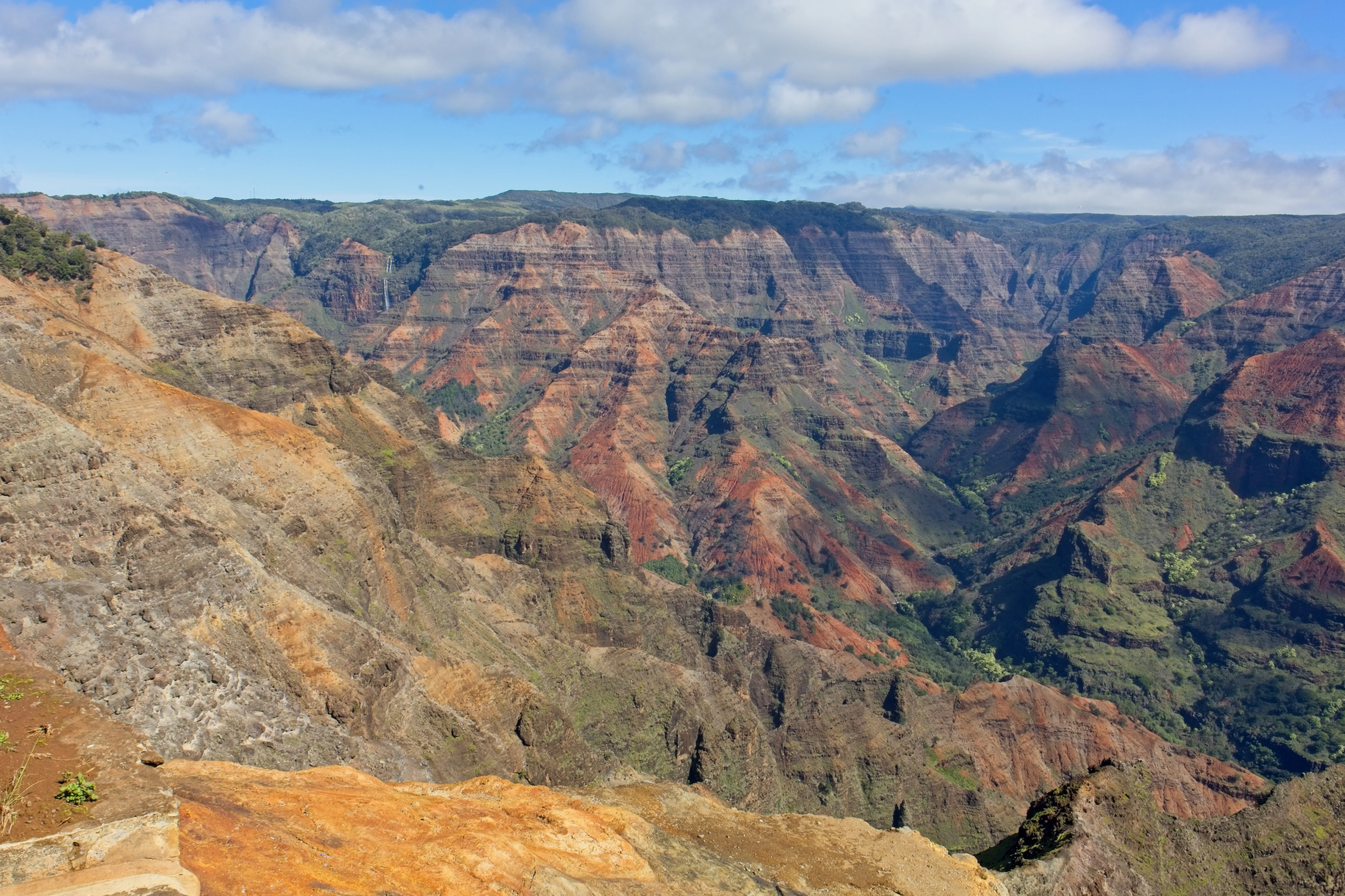 Waimea Canyon red cliffs with a thin waterfall and scattered green forest, Kauai.
