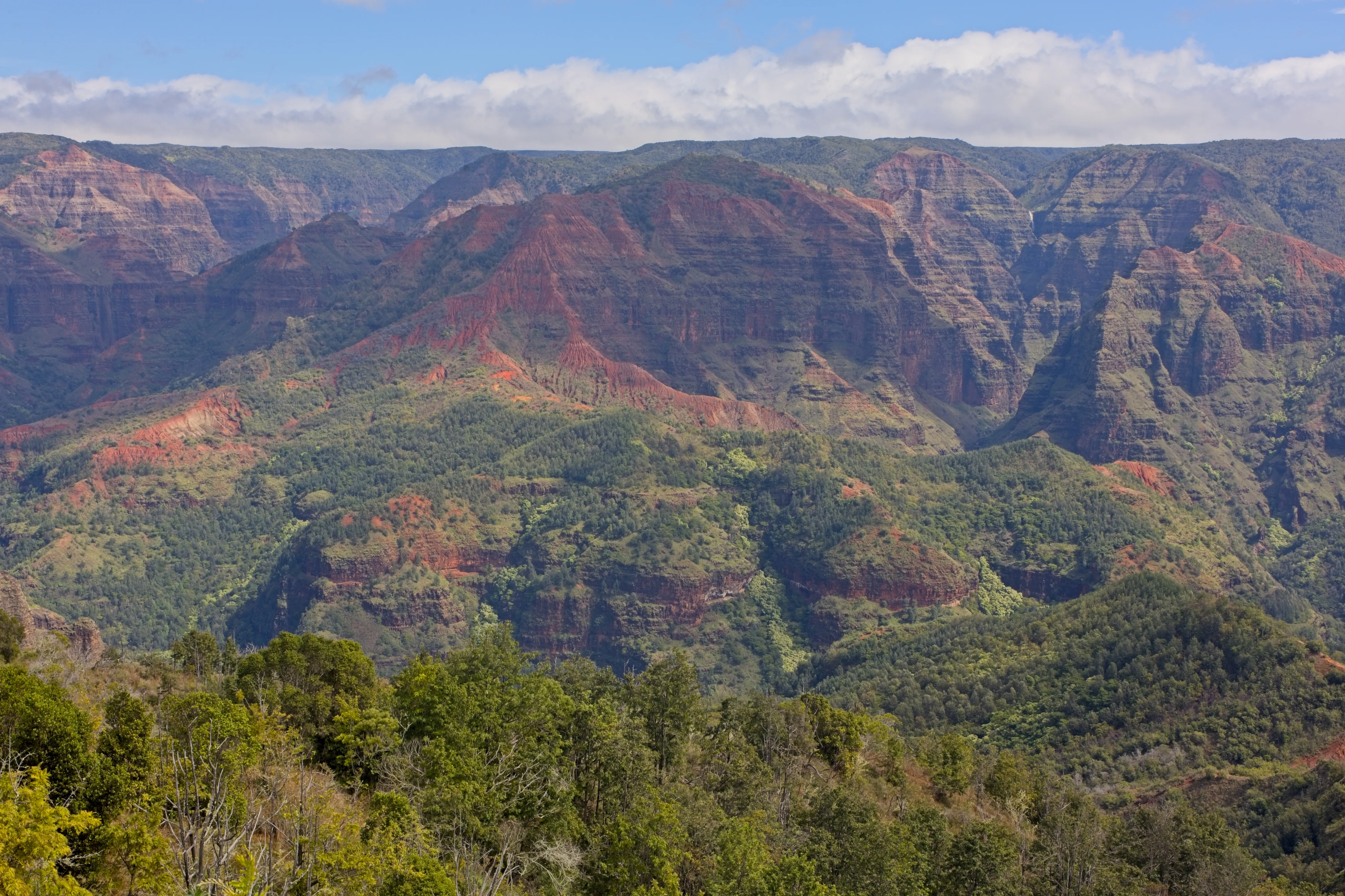 Waimea Canyon seen over green treetops with red eroded walls beyond, Kauai.