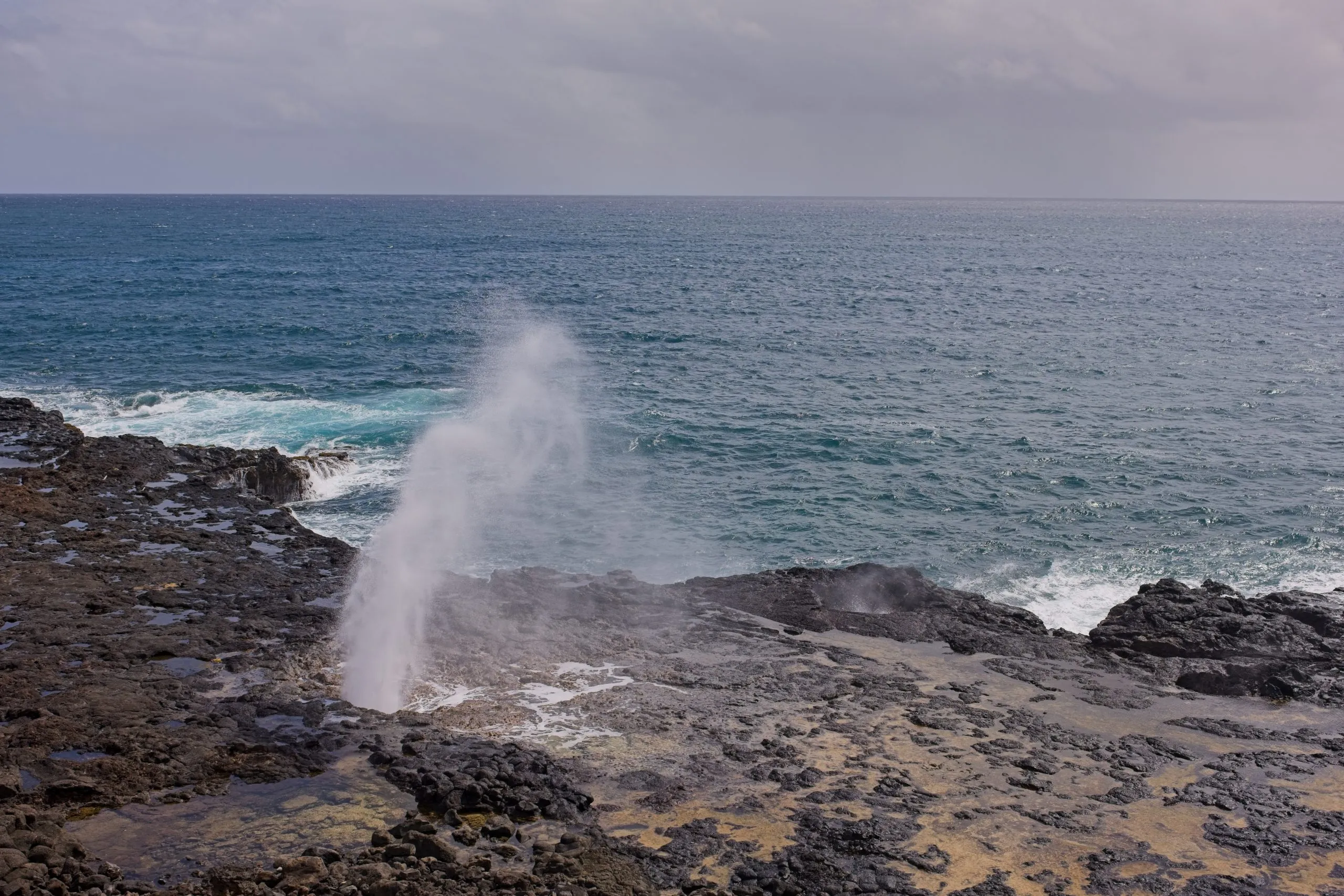 Spouting Horn blowhole erupting along Kauai's rocky coastline, with waves crashing on volcanic rocks and sea spray through ironwood trees.