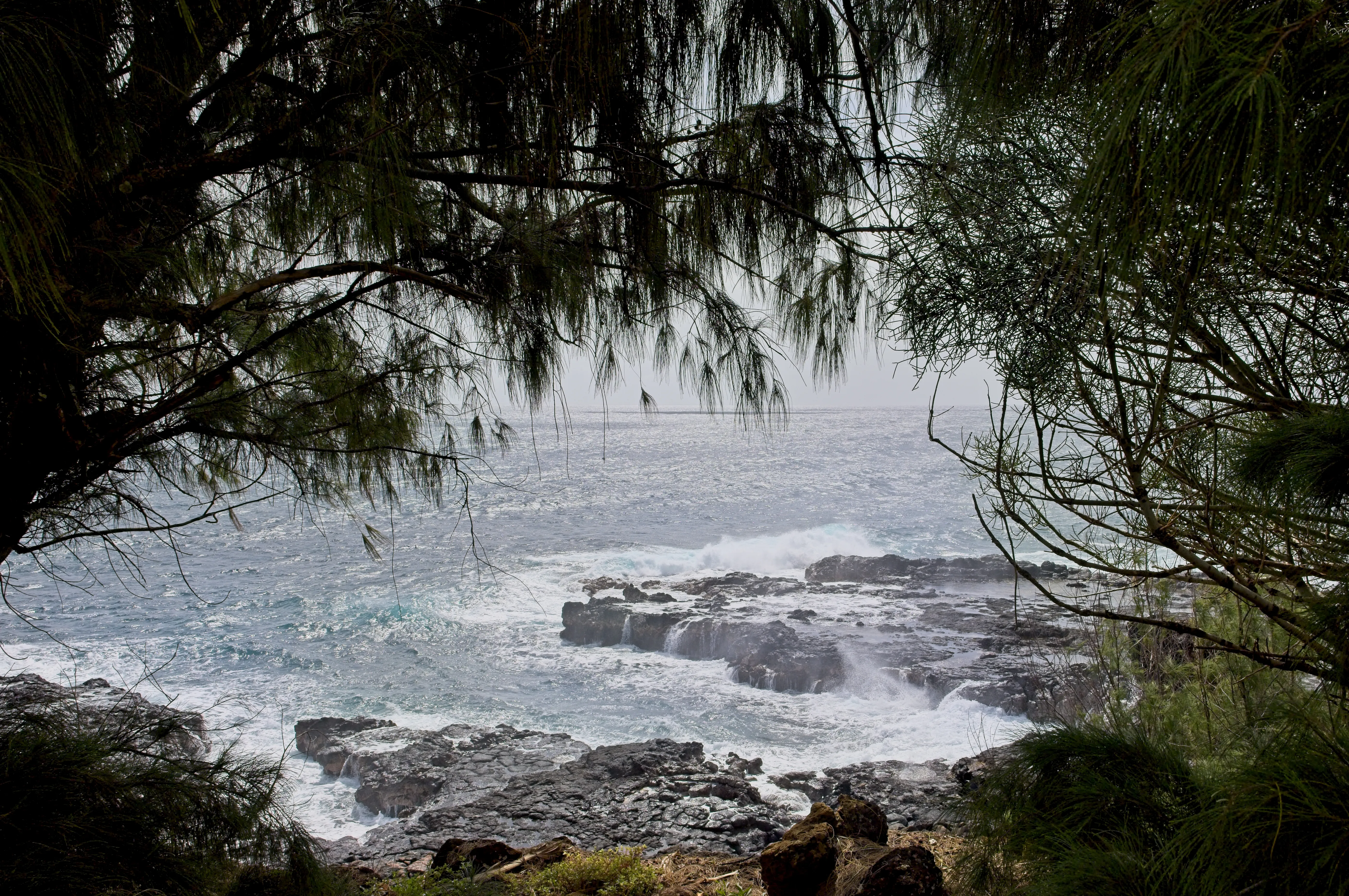 Waves crashing on volcanic rocks framed by silhouetted trees at Spouting Horn, Kauai.