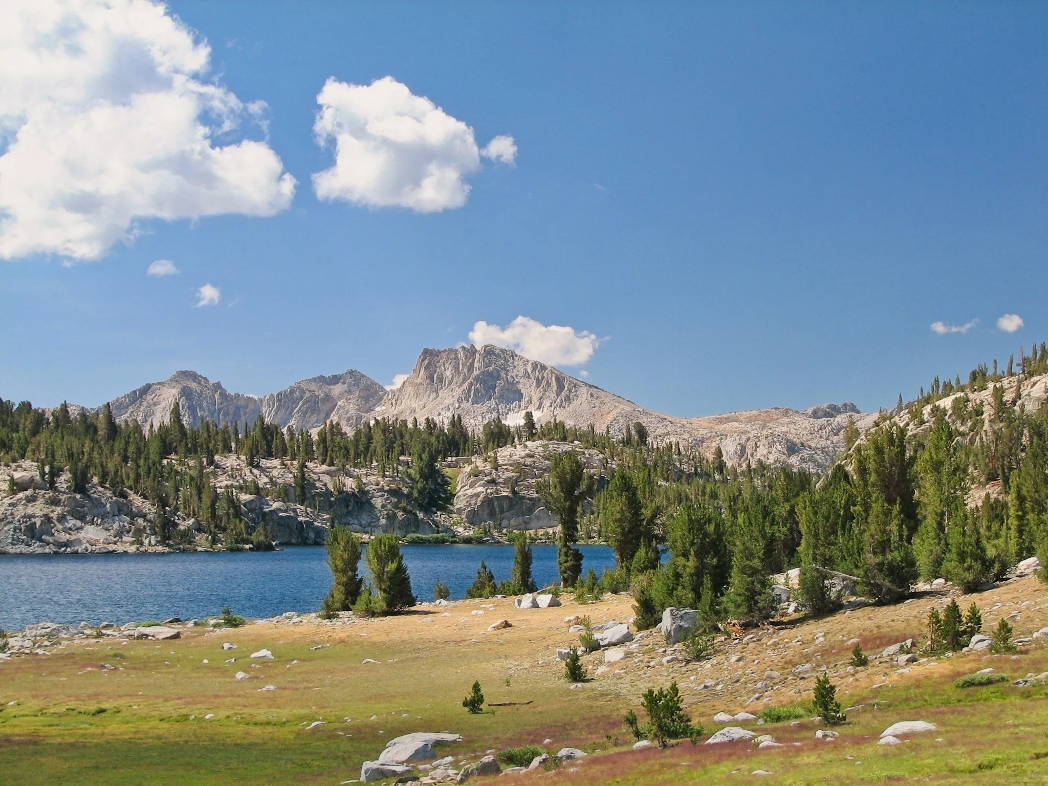 Alpine meadow leading to Lake Virginia surrounded by pine forest and peaks.