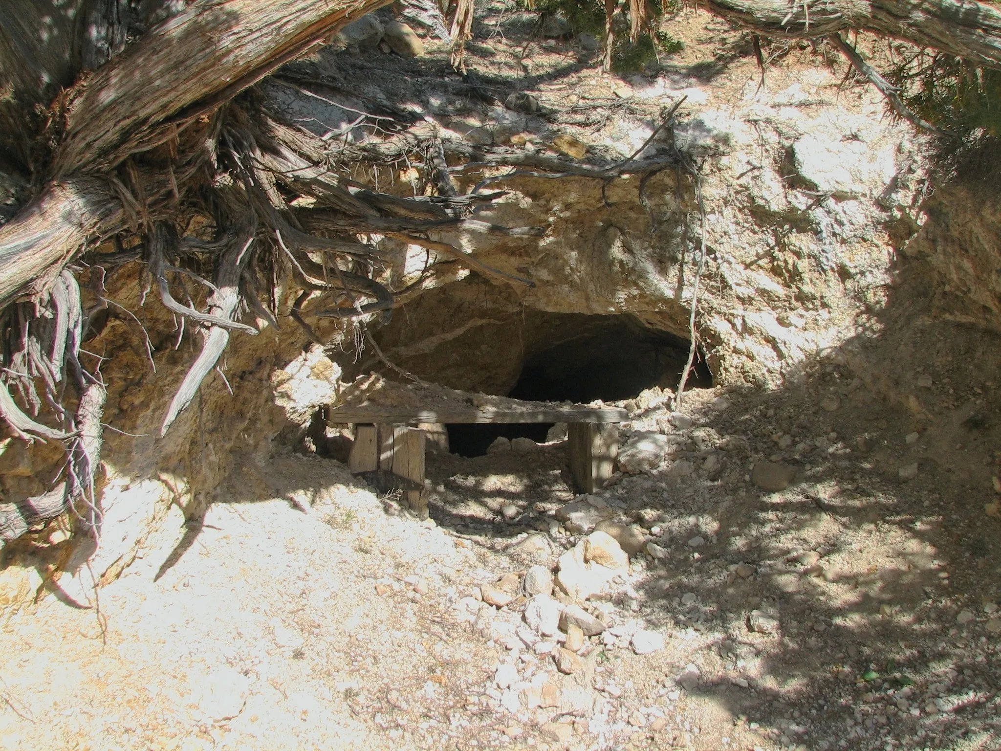 Small mine adit entrance beneath tree roots with a weathered wooden bench outside.