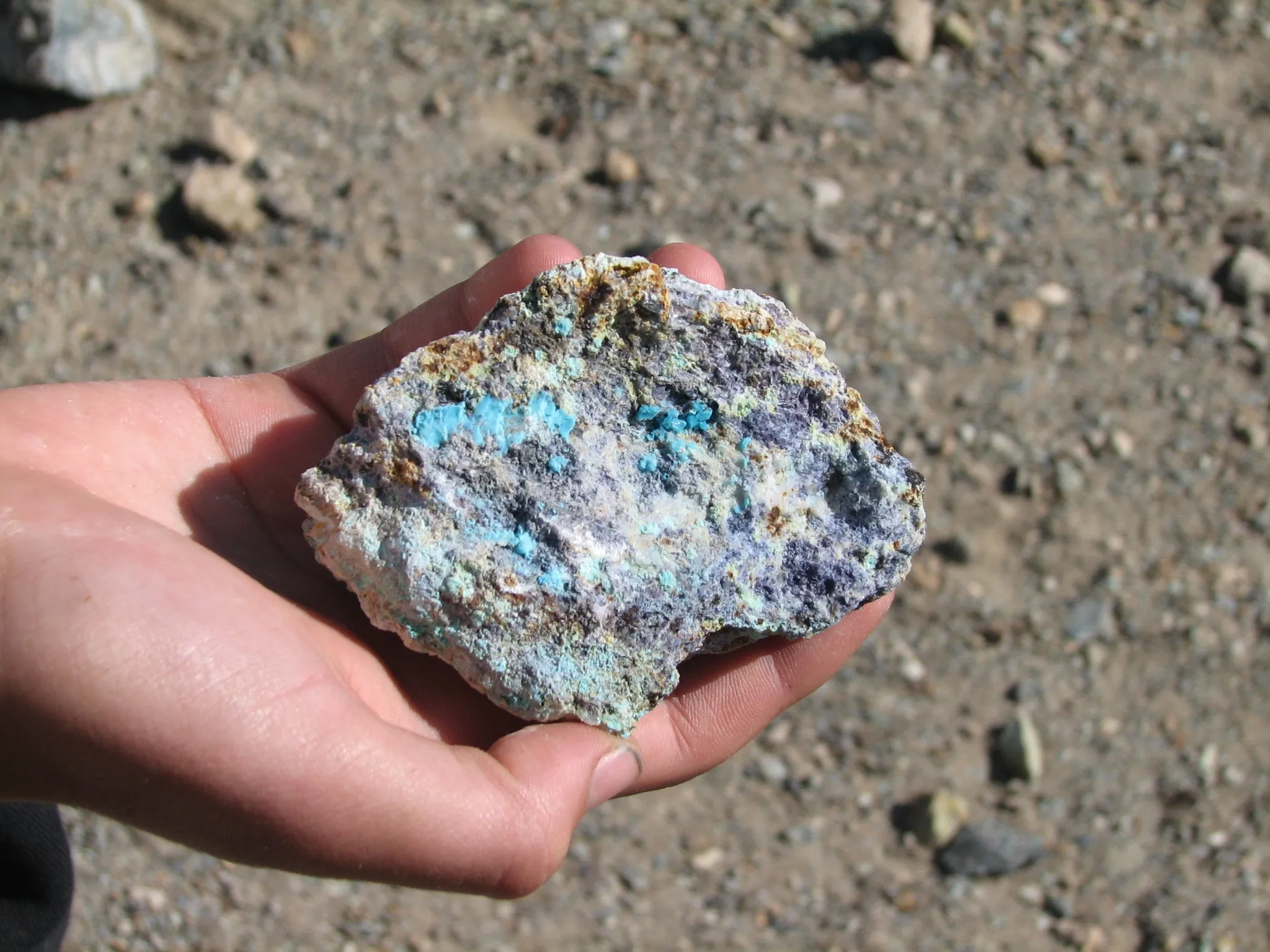 Hand holding a turquoise and blue copper ore specimen outside Giant Ledge Mine.