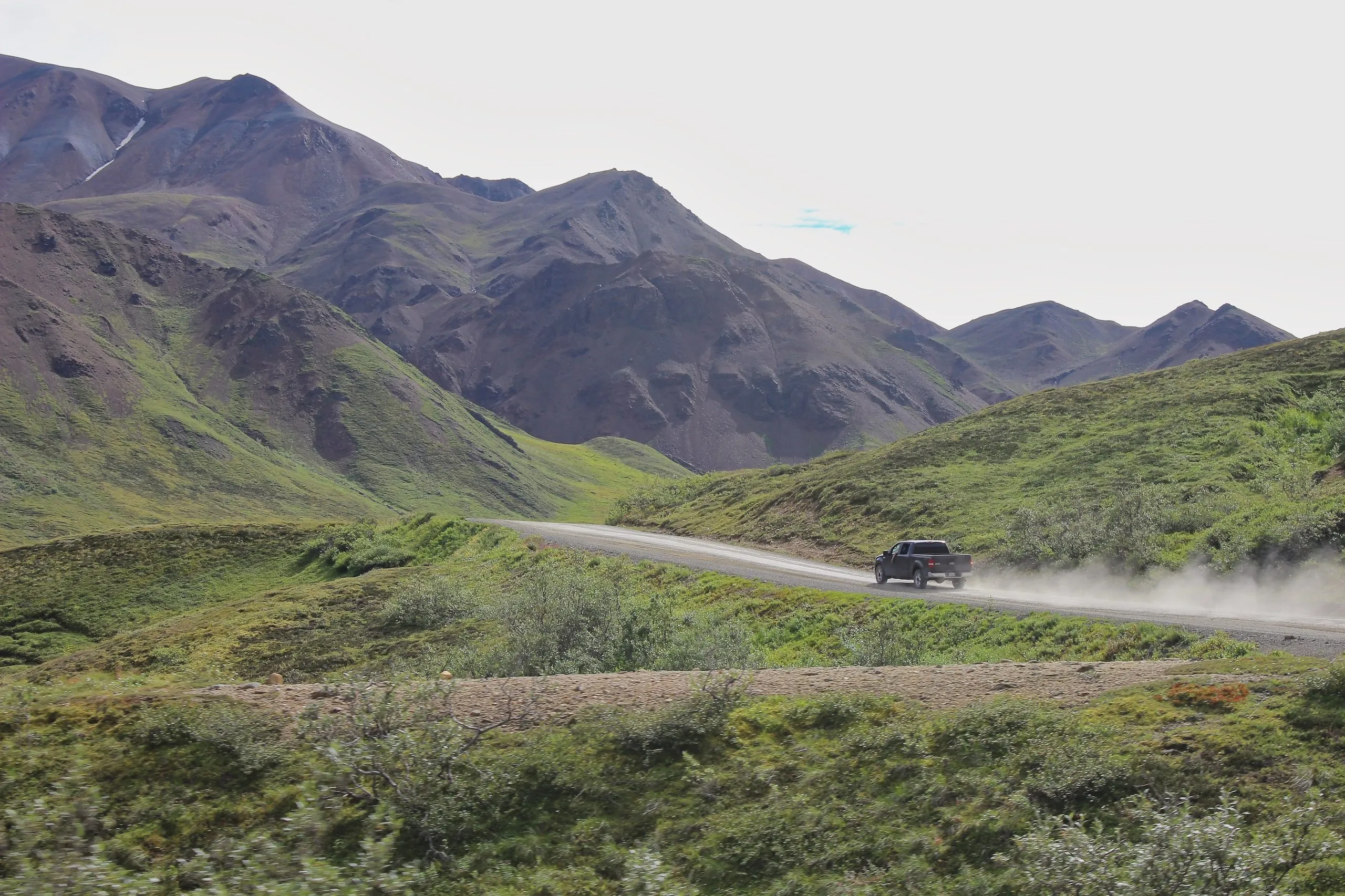 F-150 truck driving on gravel Denali Park Road with mountains in the background. In Denali National Park, Alaska.