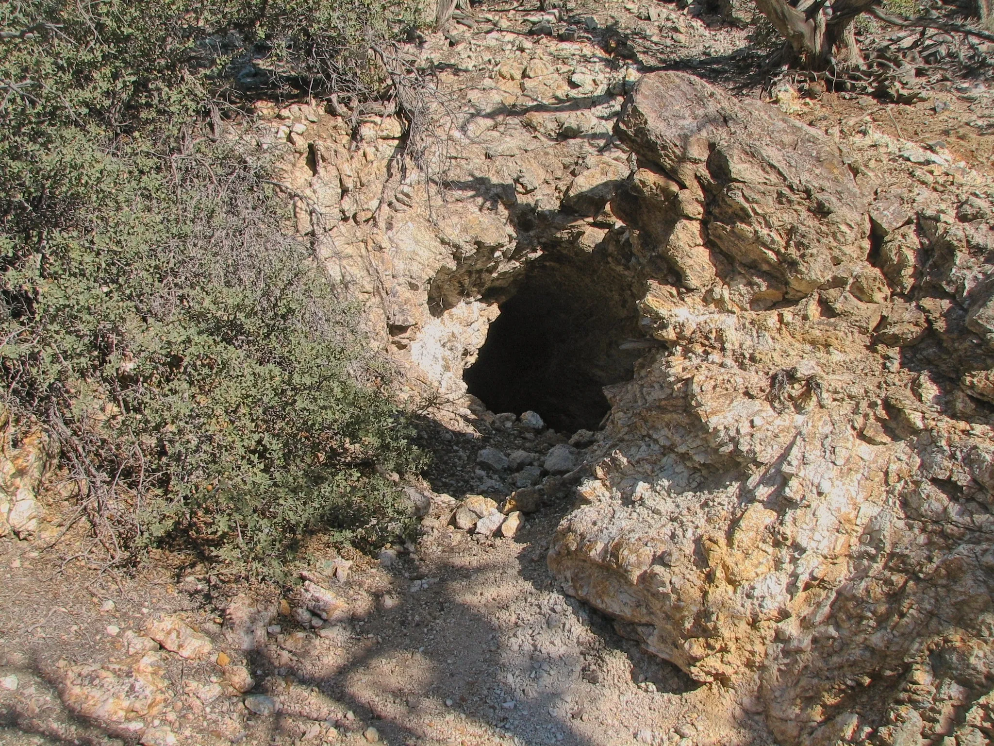 Small dark mine adit in a rocky hillside surrounded by desert shrubs.