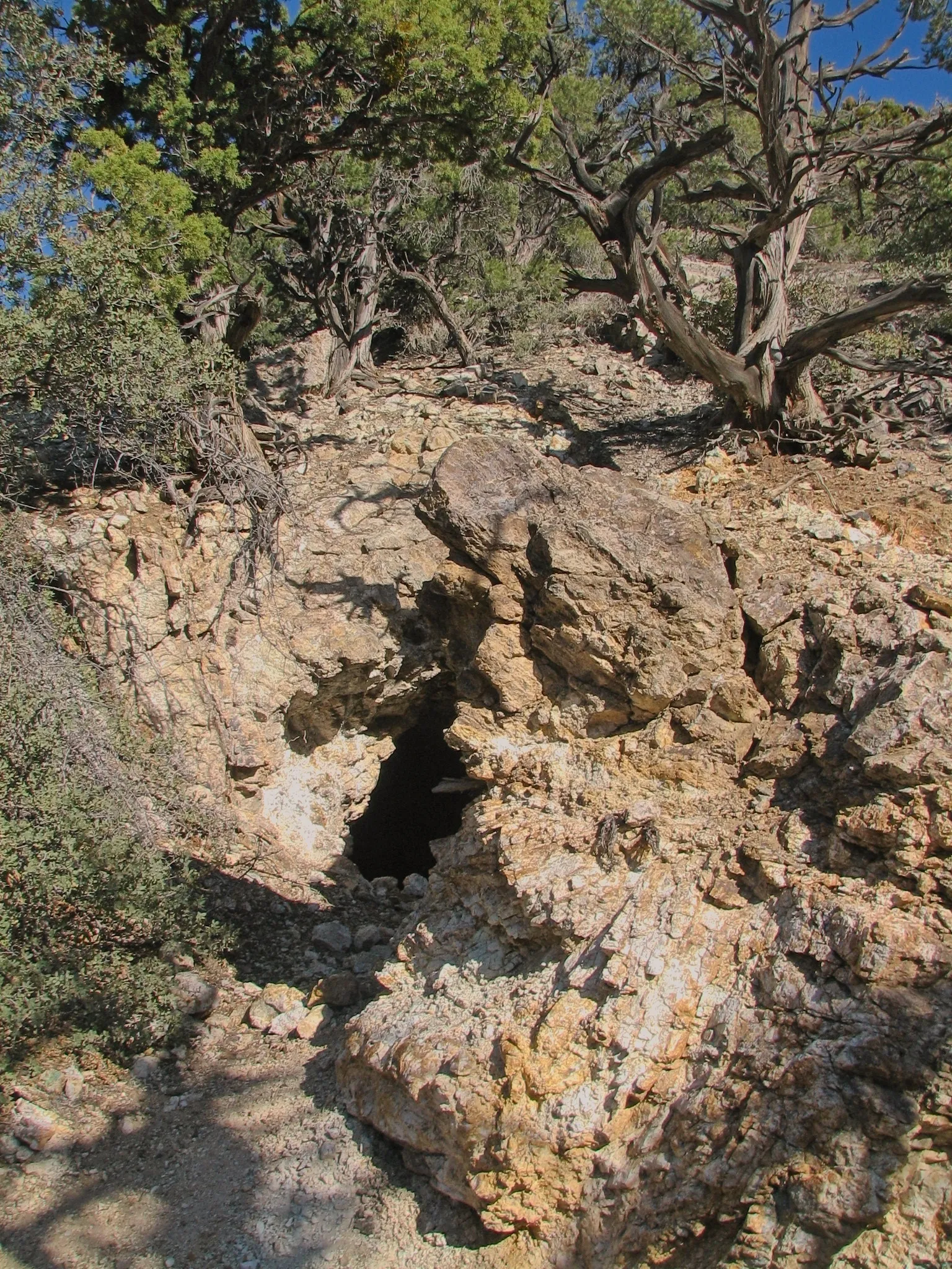 Mine portal on a rocky slope with gnarled trees and desert scrub above.
