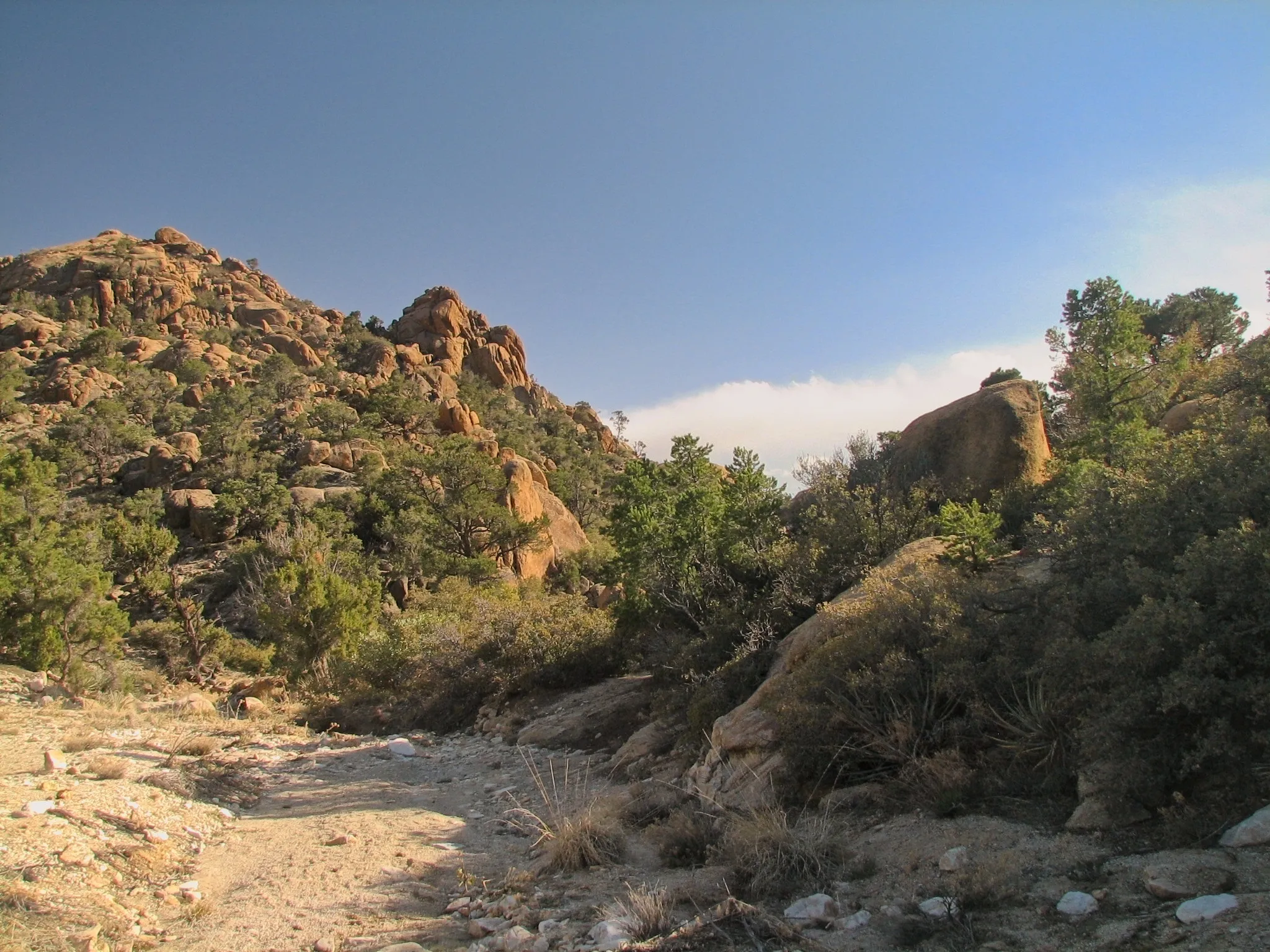 Sandy wash winding between boulder-strewn hillsides in the New York Mountains.