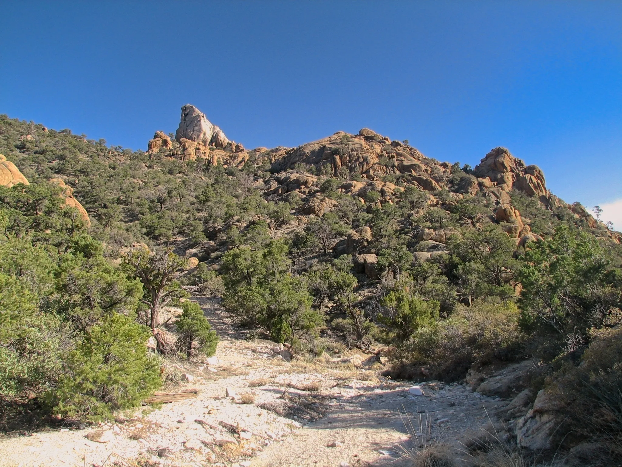 Rocky hillside with pinyon pines and a jagged granite spire against blue sky.