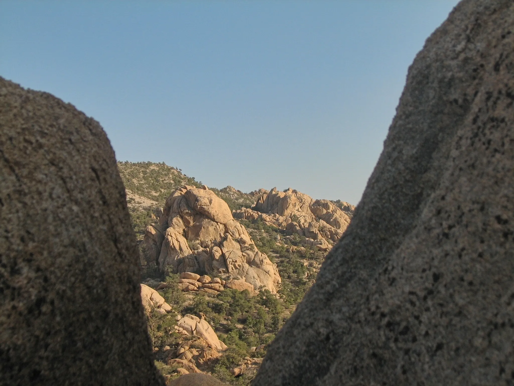 Tan rock formations and pinyon pines framed by foreground boulders in the New York Mountains.