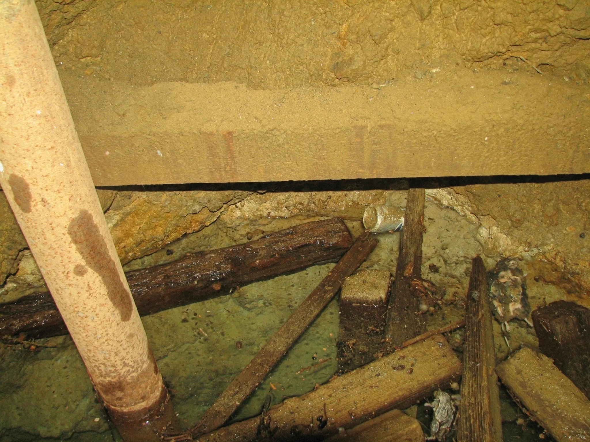 Wooden beams and standing water inside a muddy mine passage.