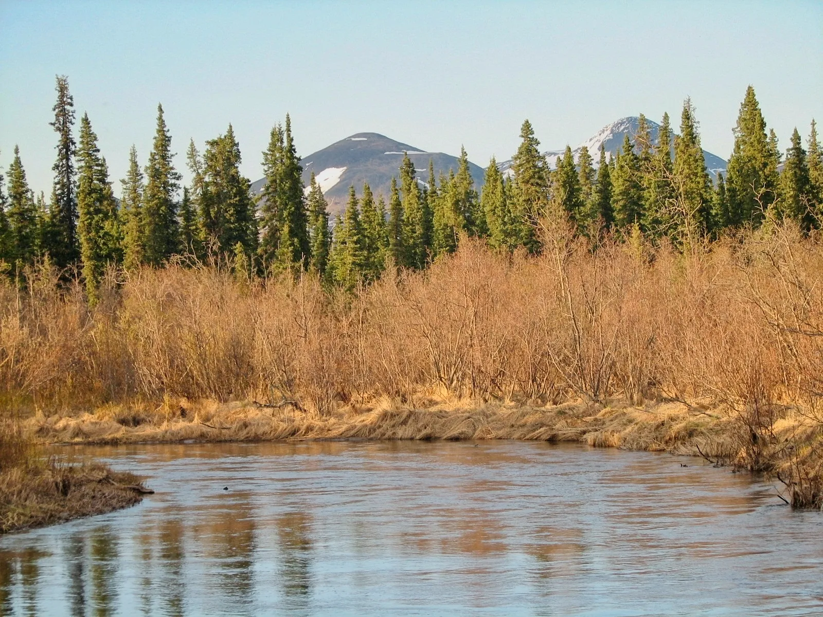 Kako Creek flowing past leafless shrubs with snow-dusted mountains in the distance, Alaska.