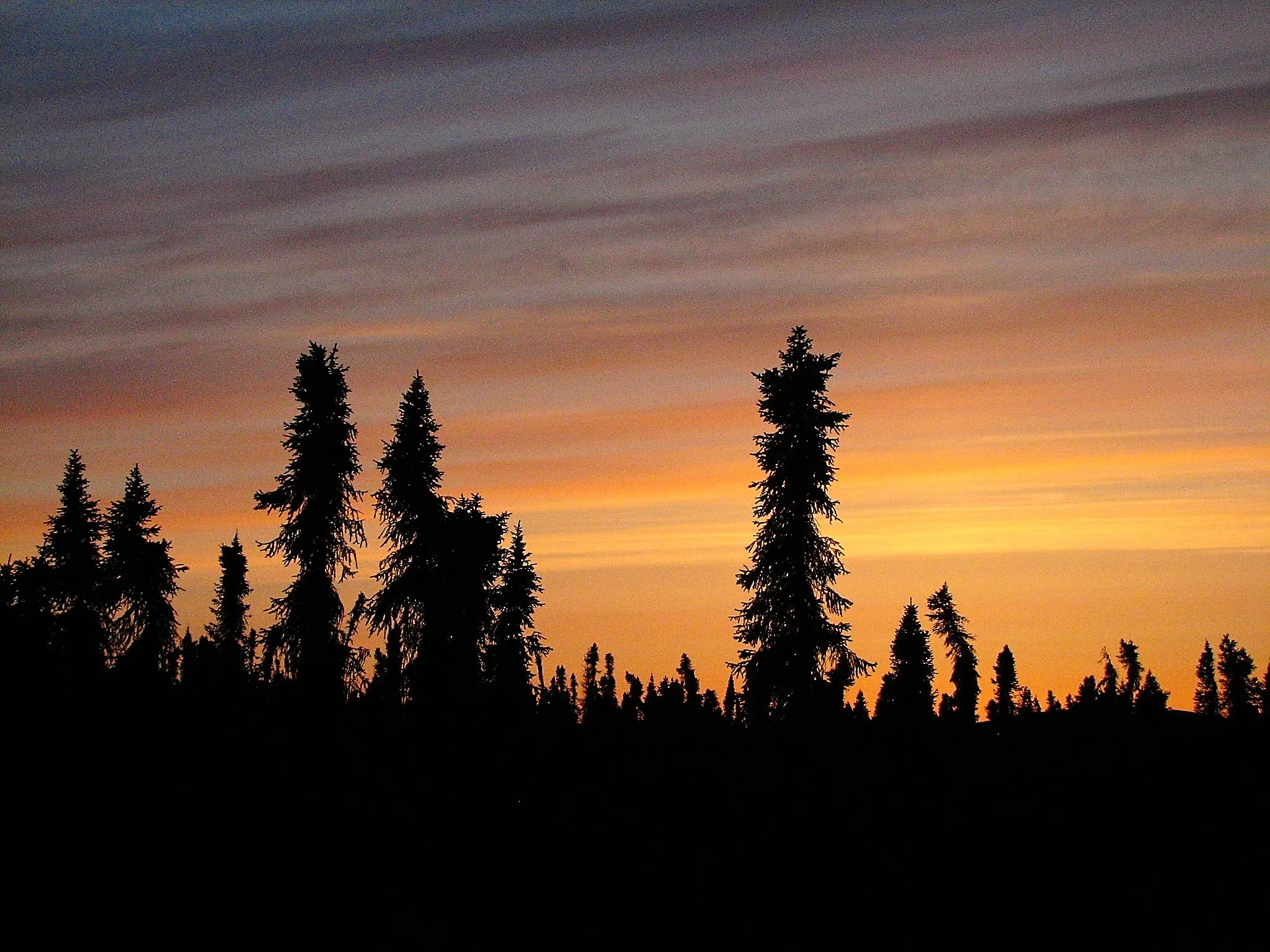 Silhouetted evergreens against orange and purple sunset sky along Kako Creek, Alaska.