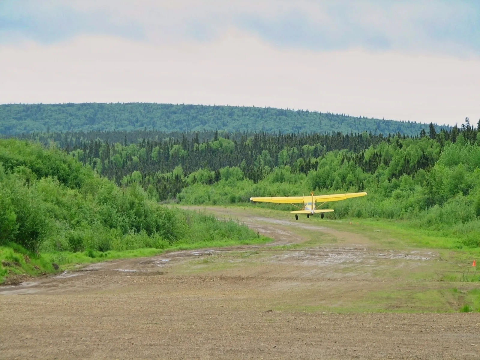 Yellow Cessna 206 on a remote gravel airstrip in bush Alaska at Kako, with forest lining the runway.