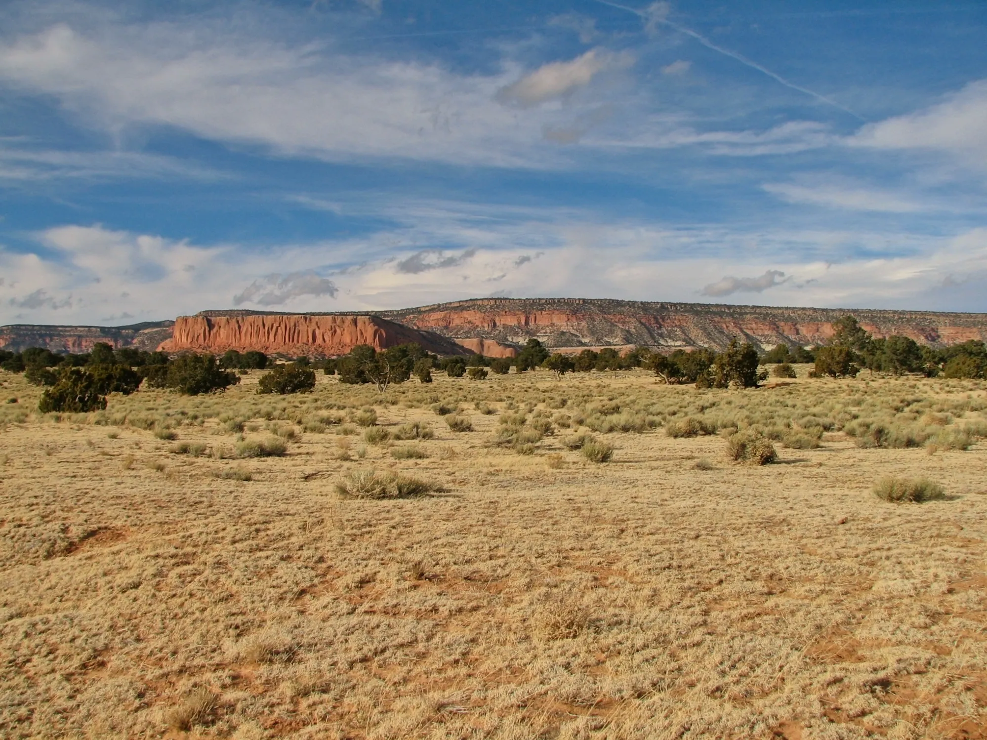 Dry grassland with juniper trees below a red rock mesa in New Mexico.