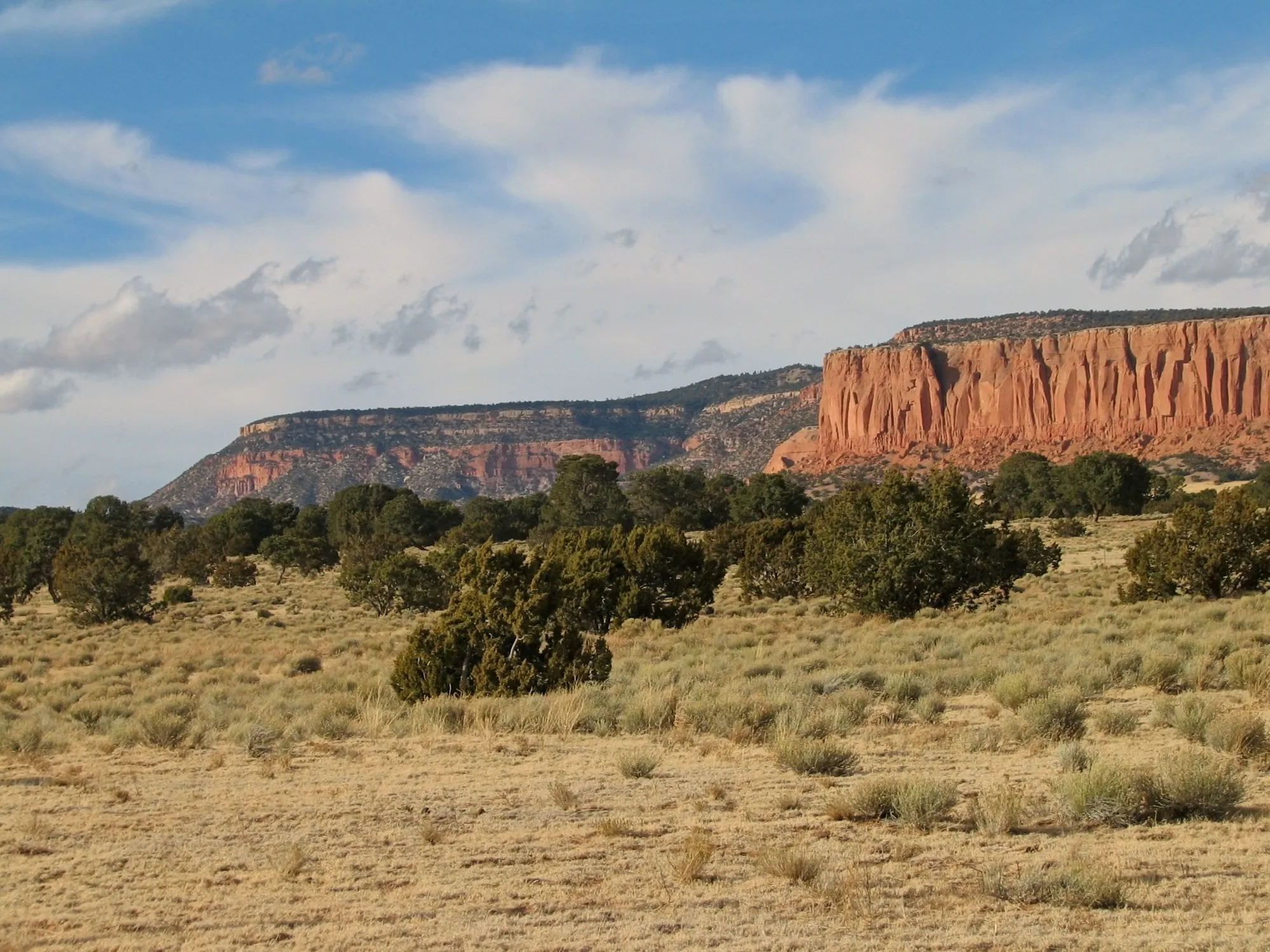 Desert plain with scattered juniper trees below layered red rock mesas in New Mexico.