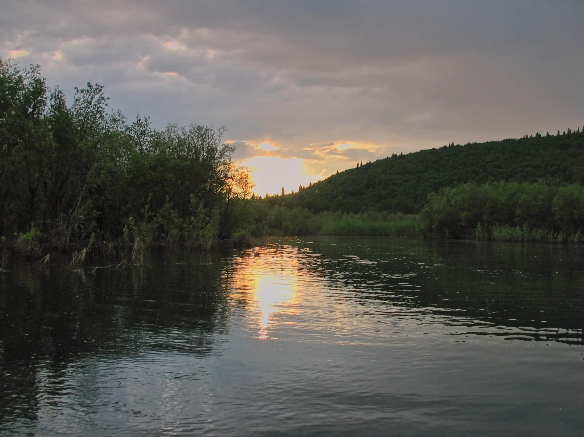 Low sun through birch branches over a calm Alaska lake near Kako, Alaska.