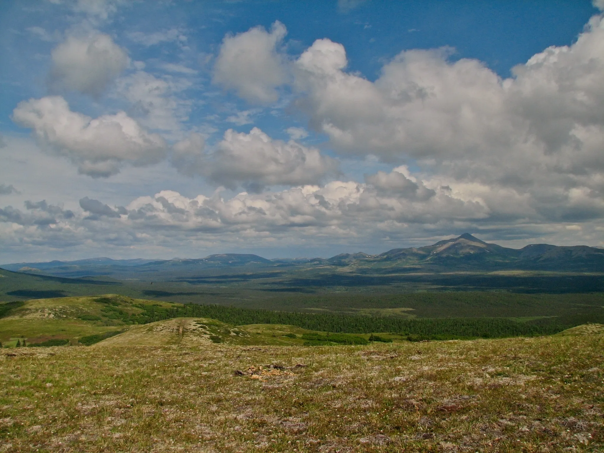 Rolling green ridges and a pointed peak under cumulus clouds in the Alaska wilderness.