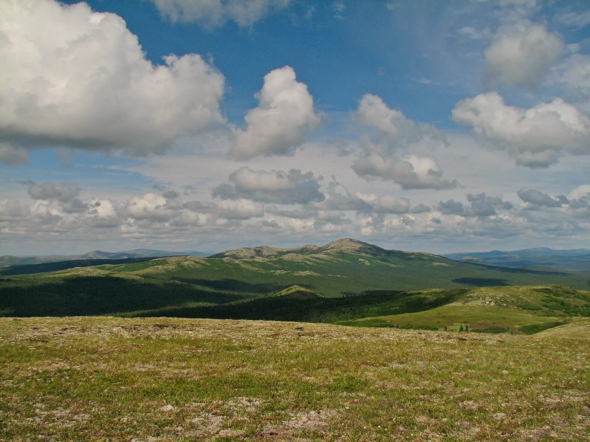 Treeless green hills and distant ridges under a bright blue sky in the Alaska wilderness.