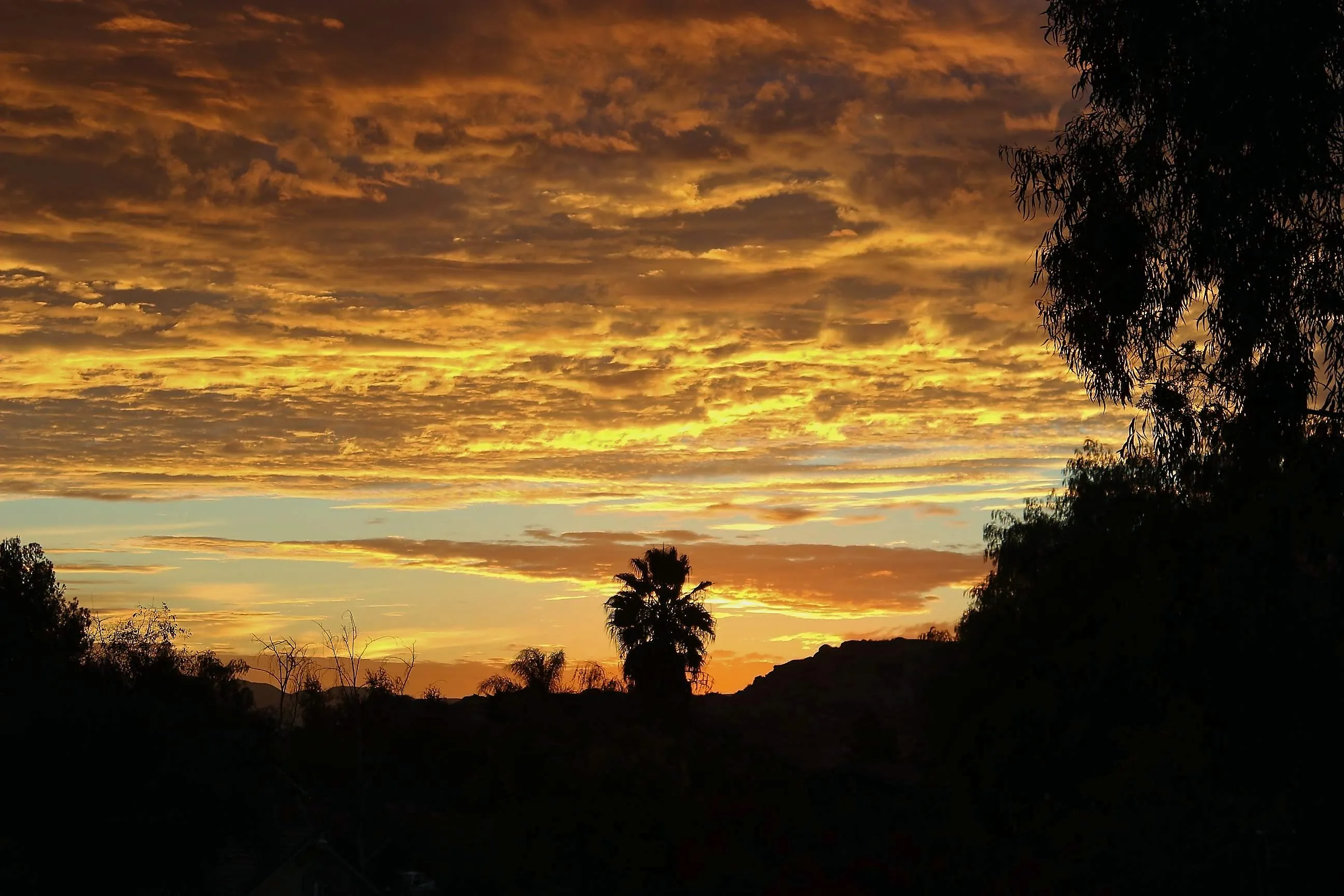 Fiery orange sunset sky above silhouetted trees and a hillside in Woodcrest, CA.