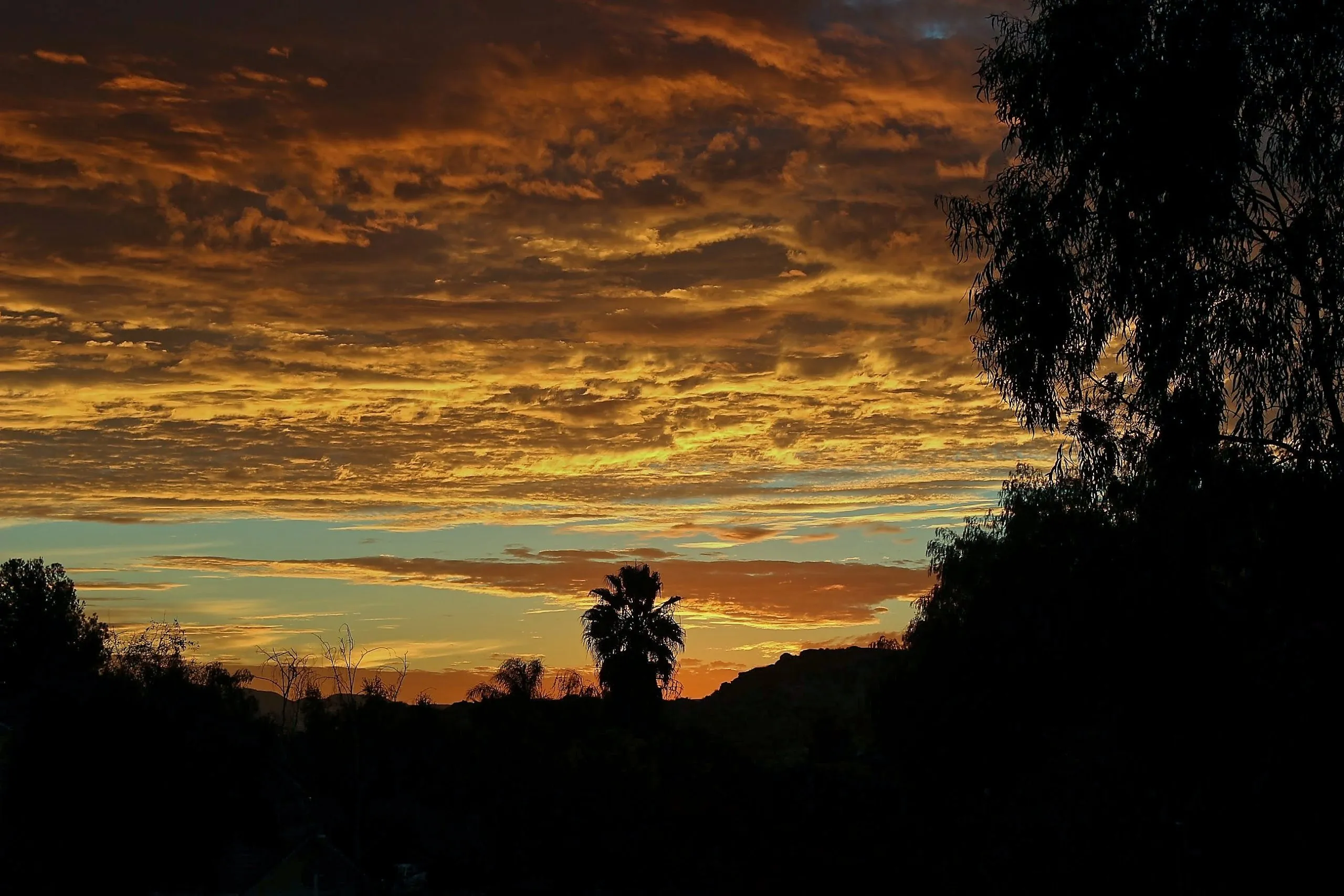 Orange mackerel clouds over silhouetted palm and eucalyptus trees at sunset in Woodcrest, California.