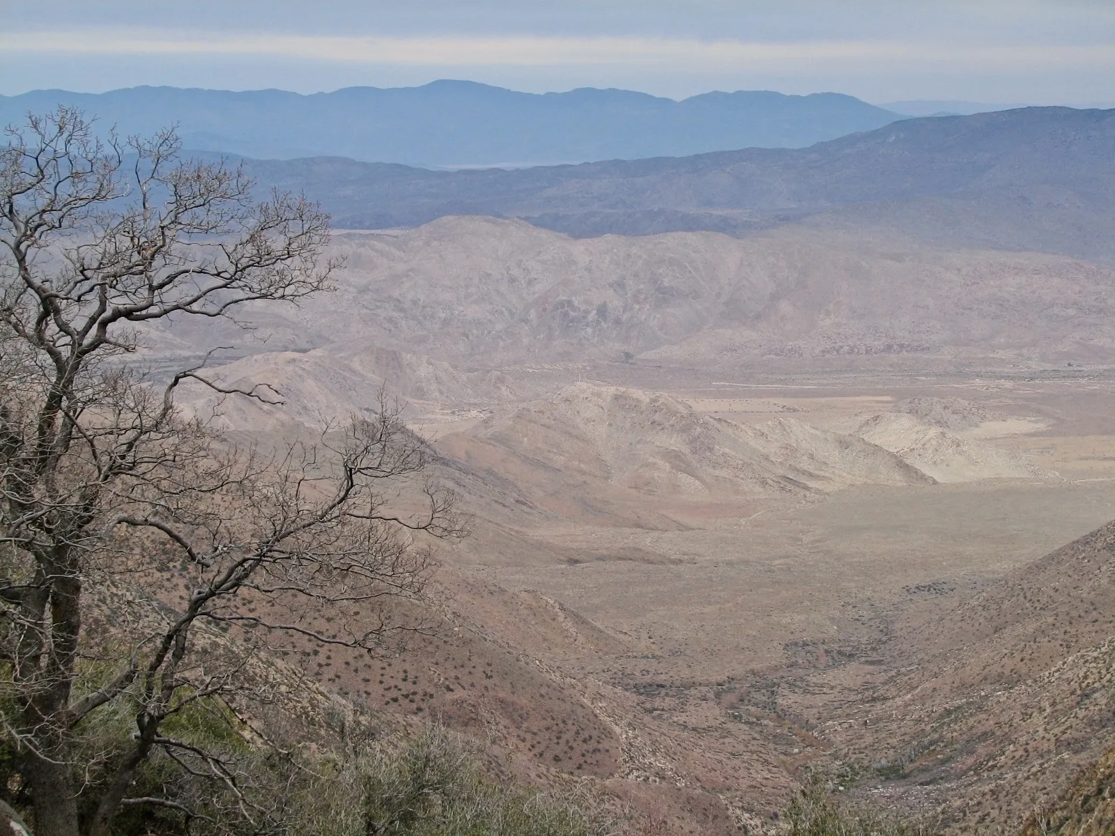 View over dry hills and distant hazy mountains from a leafless tree on Mount Laguna, California.