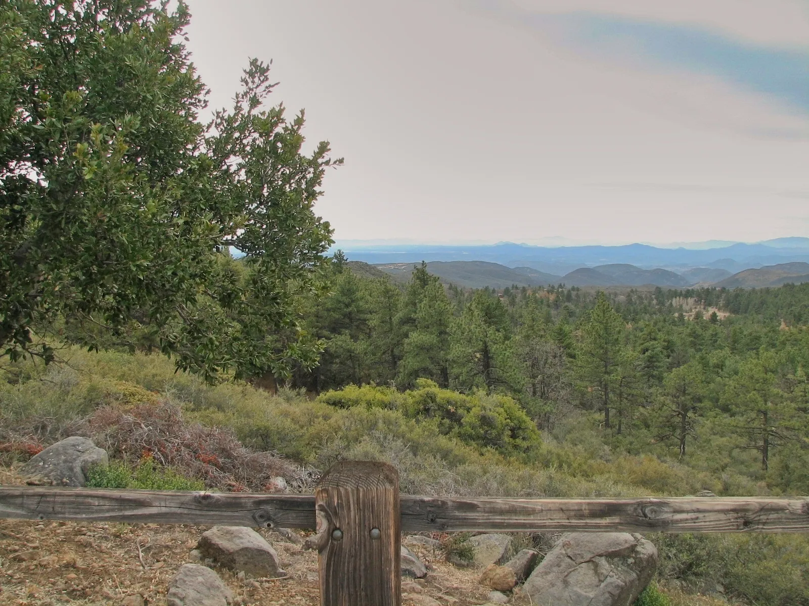 Weathered fence rail overlooking pine forest and distant mountains at Mount Laguna, California.