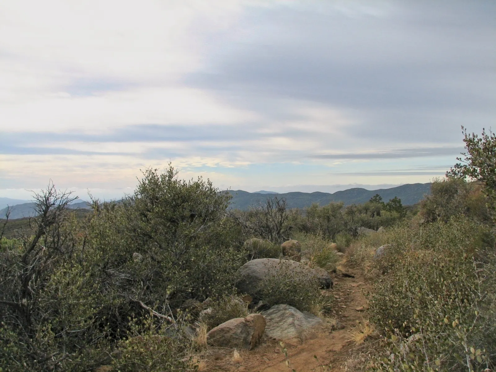 Dirt hiking trail through scrub brush toward distant mountain ridges at Mount Laguna, California.