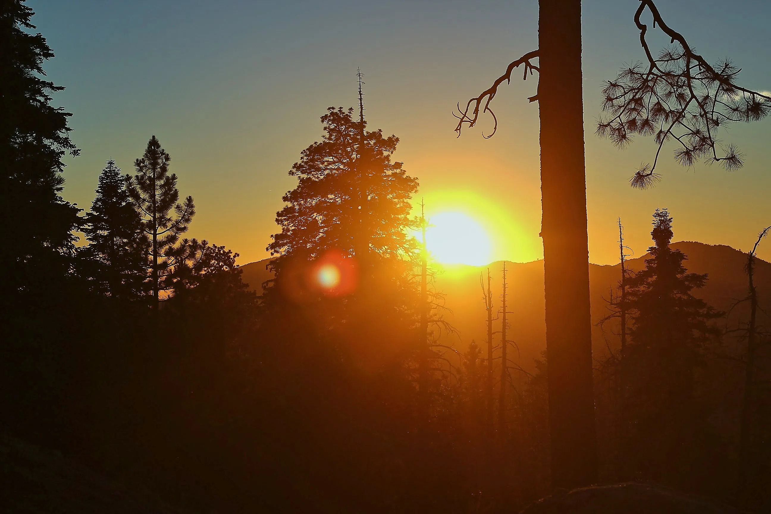 Sun above a ridge line through pine silhouettes at Big Bear sunset.