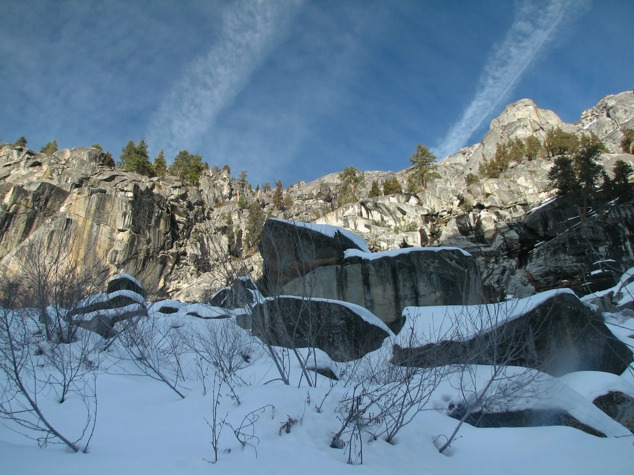 Snow-covered stream and tall pines in Sequoia National Park, California.