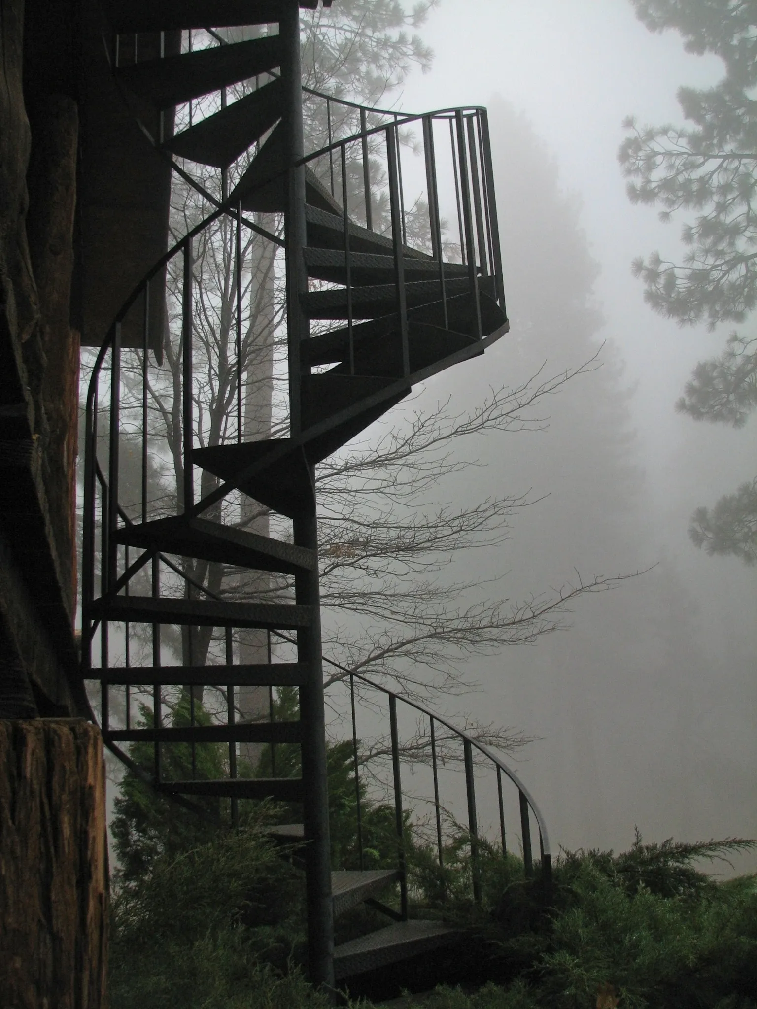 Black metal spiral staircase on a wooded cabin in fog at Idyllwild.