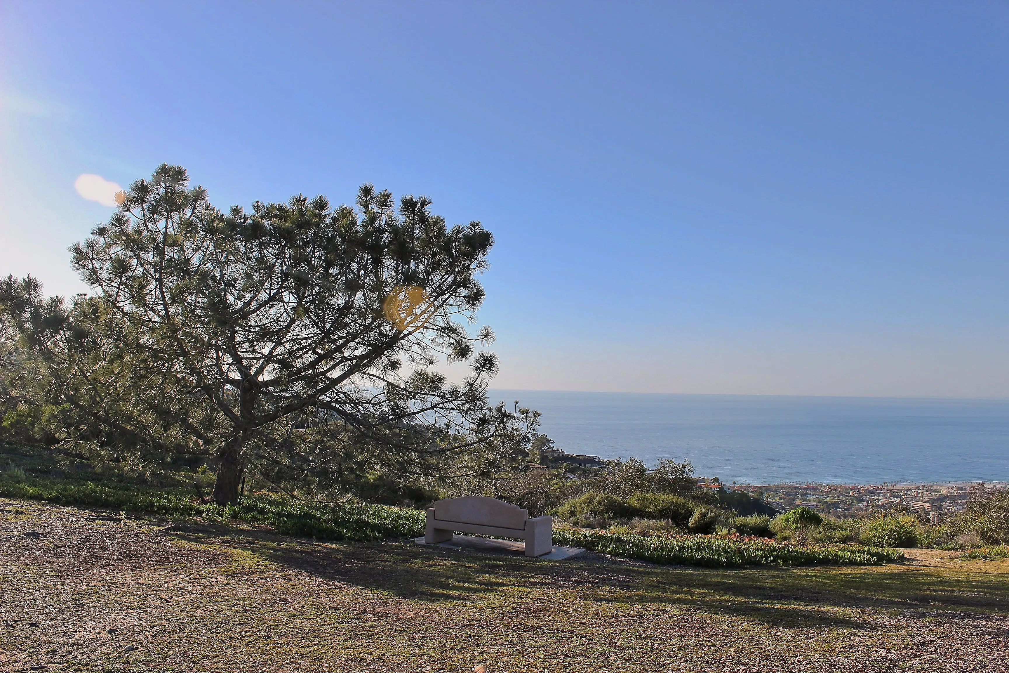 Park bench under a pine tree overlooking La Jolla and the Pacific Ocean from Mount Soledad, San Diego, CA.