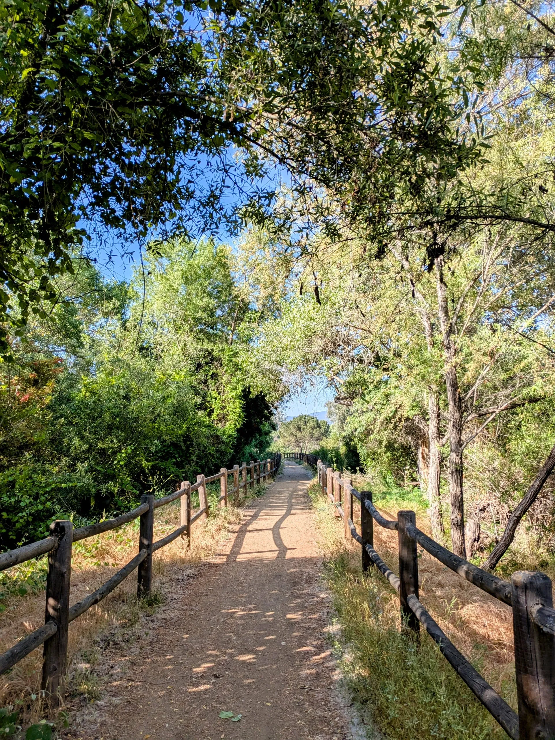 Dirt trail lined with wooden fence rails along the San Diego River Trail.